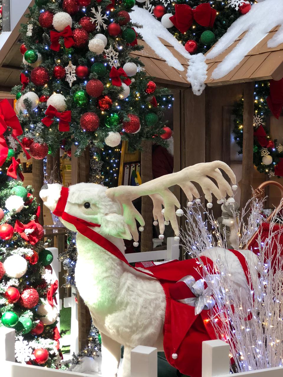 Colinas Shopping tem horário de funcionamento especial para as compras de Natal