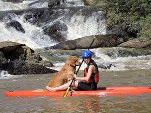 Empresas de aventura, hotelaria e gastronomia pet friendly da cidade de Socorro se aprimoram para aumentar conforto dos animais de estimação