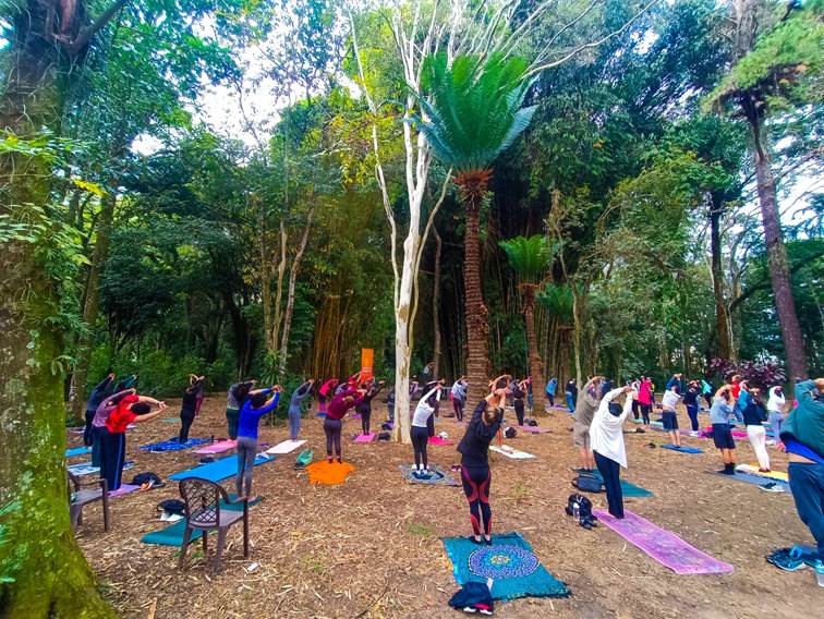 Parque Vicentina Aranha sedia evento sobre Práticas Integrativas e Complementares em Saúde (PICS)