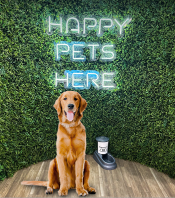 CenterVale Shopping tem uma Política Pet Friendly