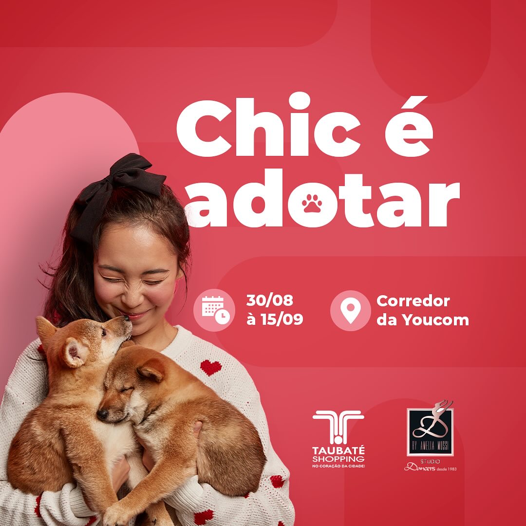 Taubaté Shopping sedia exposição ‘Chic é Adotar’ para incentivar a adoção de animais