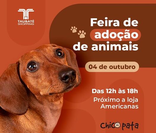 Feira de Adoção Pet incentiva amor e responsabilidade no Taubaté Shopping