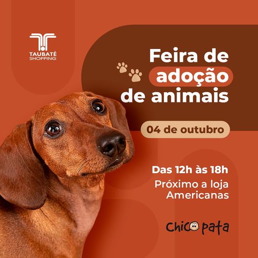 Feira de Adoção Pet incentiva amor e responsabilidade no Taubaté Shopping